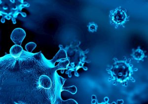 a acompanhe nosso blog post